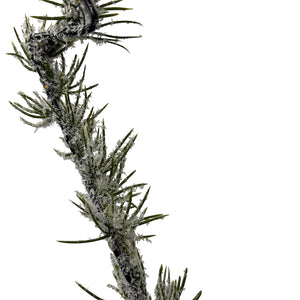 Led Christmas Tree on wooden base | 90cm or 73cm