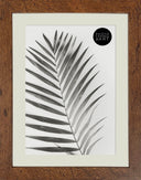 10x8" for 8x6" Windsor Photo Frame