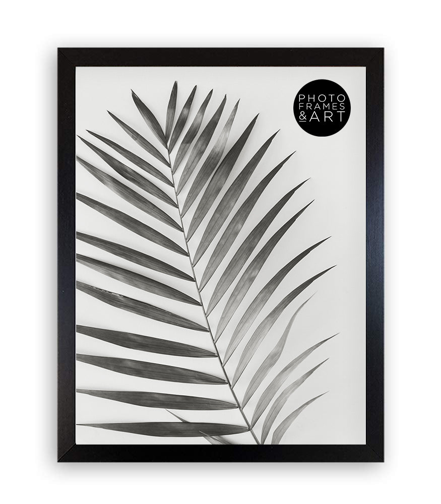 Oxford Photo Frame 14x11" Photo Frame - no mount