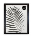 Oxford Photo Frame 14x11" Photo Frame - no mount