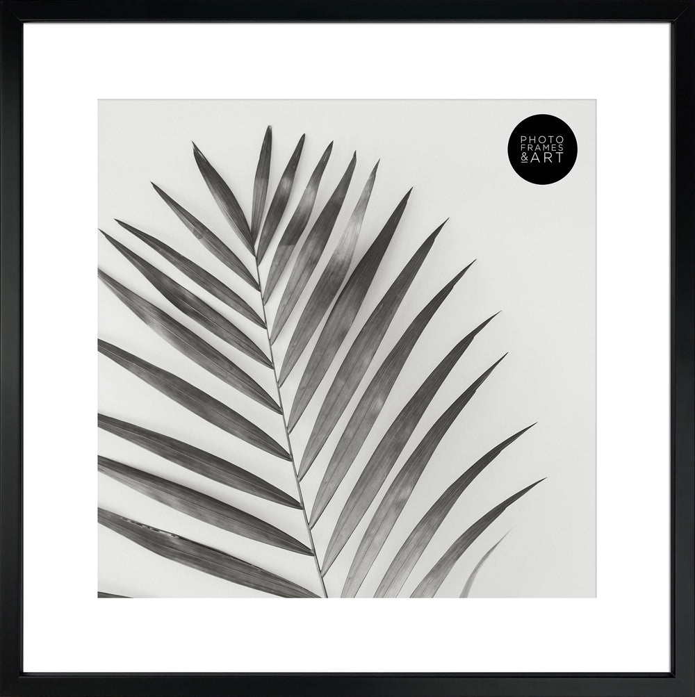 16x16" for 12x12" With Glass | Winchester Wood