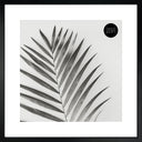 16x16" for 12x12" With Glass | Winchester Wood