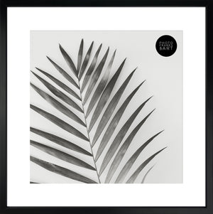 16x16" for 12x12" With Glass | Winchester Wood