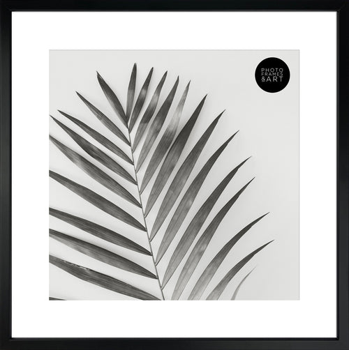 16x16" for 12x12" With Glass | Winchester Wood