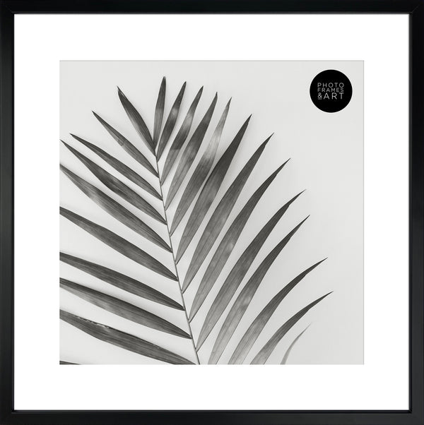 16x16" for 12x12" With Glass | Winchester Wood