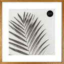 16x16" for 12x12" With Glass | Winchester Wood