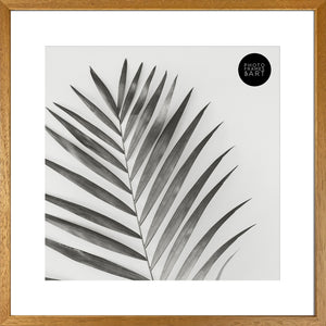 16x16" for 12x12" With Glass | Winchester Wood