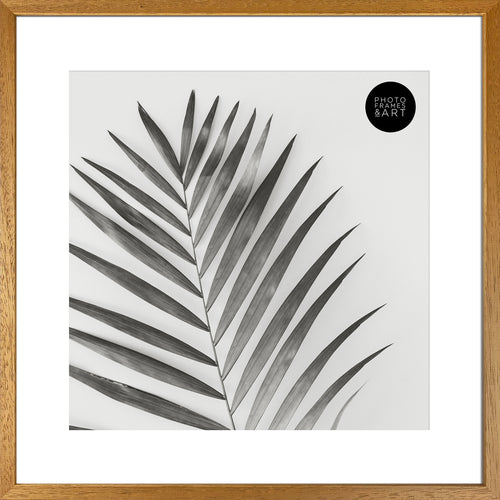 16x16" for 12x12" With Glass | Winchester Wood