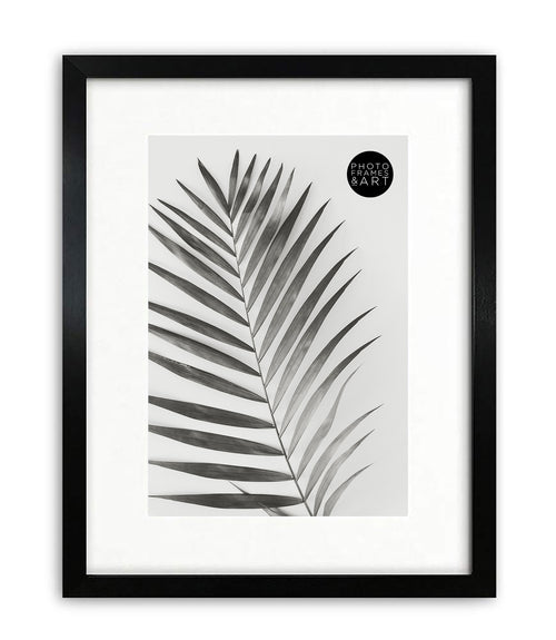 16x11.5 Frame For A4 Print With Glass | Oxford