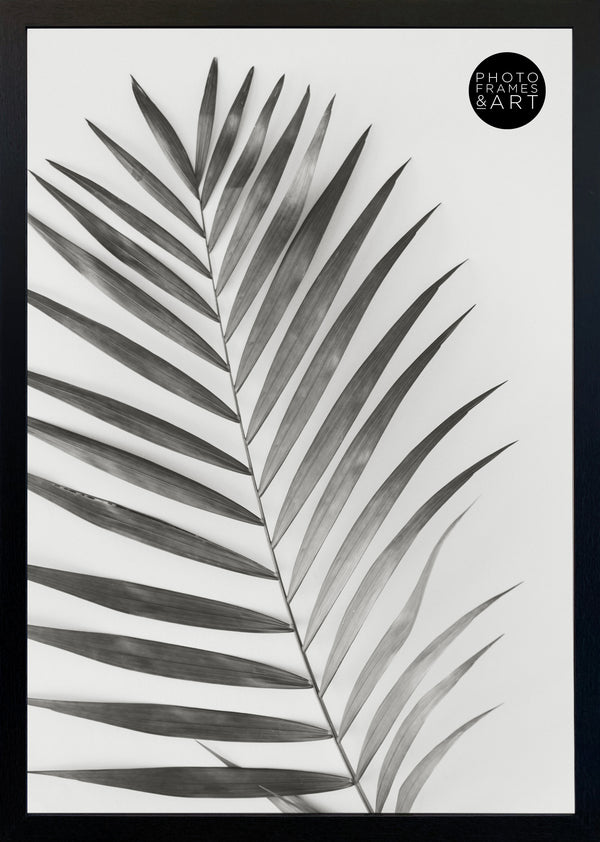 A1 Poster Frame | Verona Black