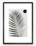 A2 Poster Frame For A3 Print With Mount | Winchester Wood