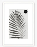 A2 Poster Frame For A3 Print With Mount | Winchester Wood