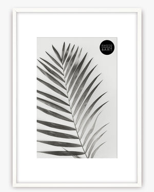 A2 Poster Frame For A3 Print With Mount | Winchester Wood