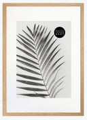 large picture frames