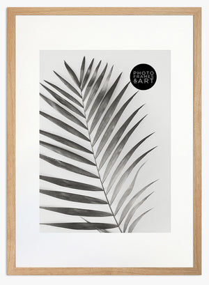 large picture frames