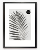 A3 Poster Frame For A4 Print With Mount | Winchester Wood