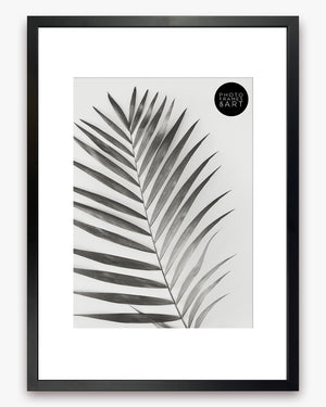 A3 Poster Frame For A4 Print With Mount | Winchester Wood