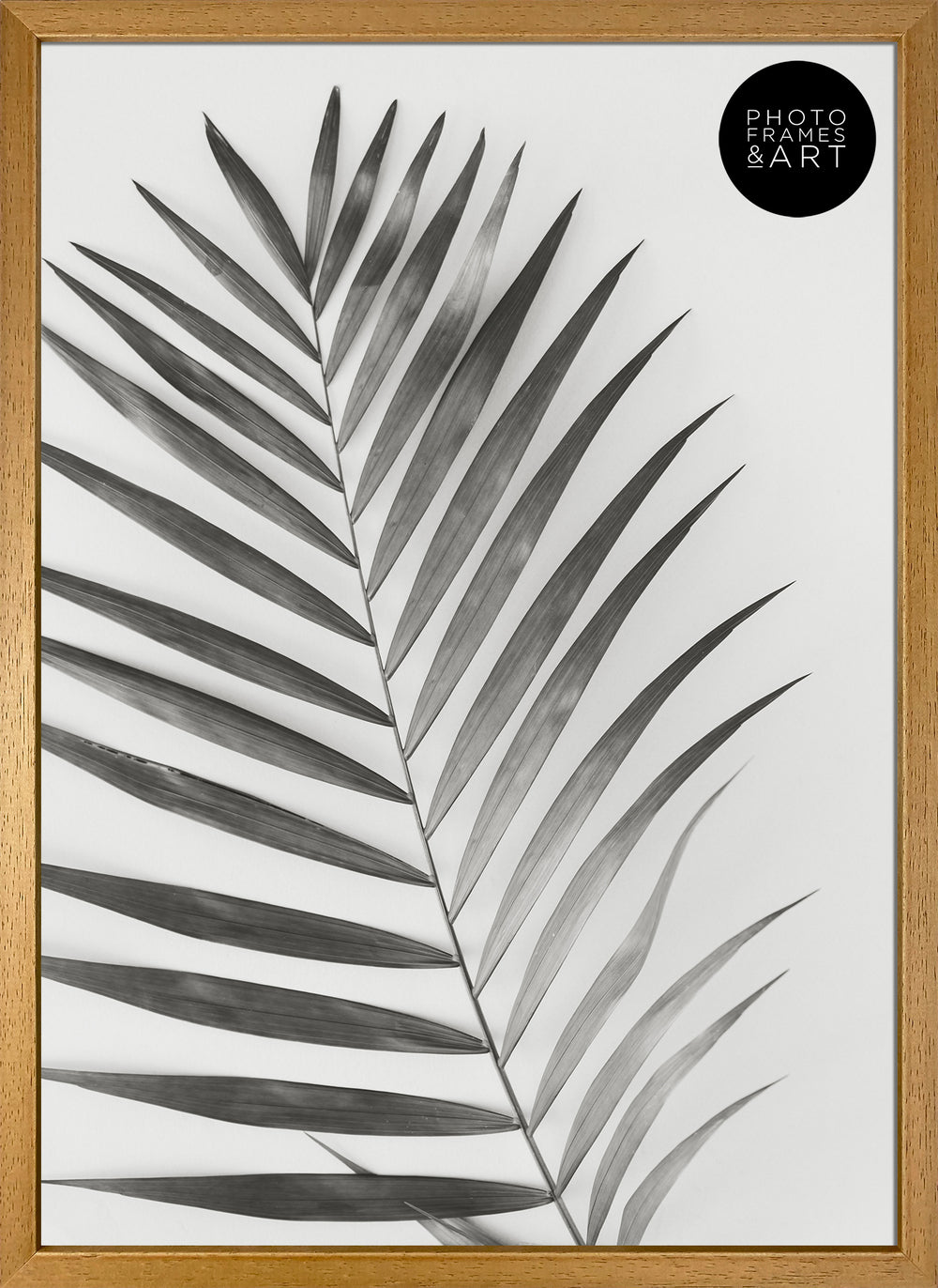 A2 Poster Frame No Mount | Winchester Wood