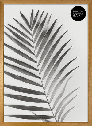 A2 Poster Frame No Mount | Winchester Wood