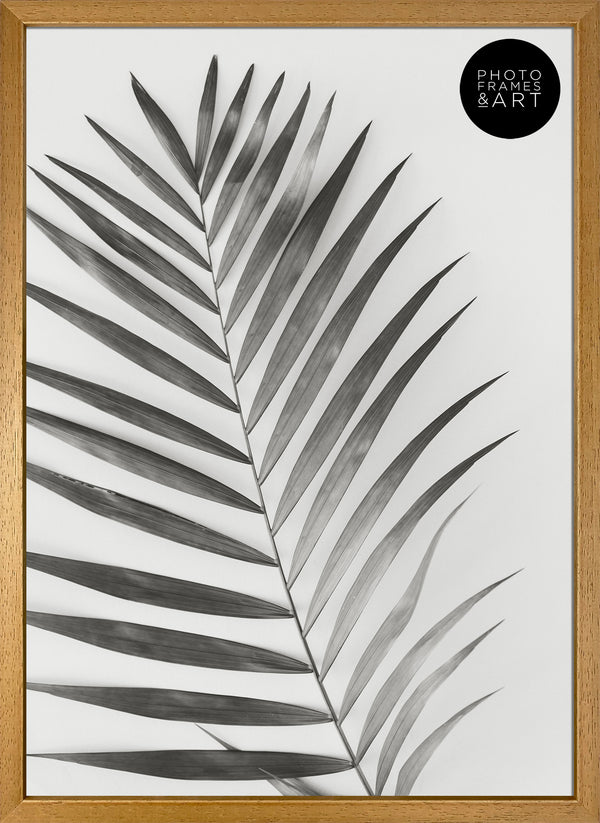 A2 Poster Frame No Mount | Winchester Wood