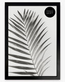 A4 Picture Frame | Winchester Wood