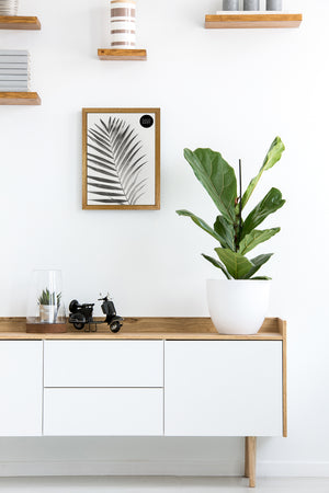 A4 Picture Frame | Winchester Wood