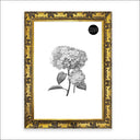 A2 Frame | Antique No Mount