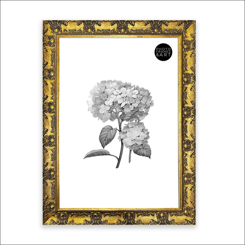 A2 Frame | Antique No Mount