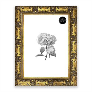 A3 Frame With Glass | Antique No Mount