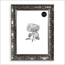 A3 Frame With Glass | Antique No Mount
