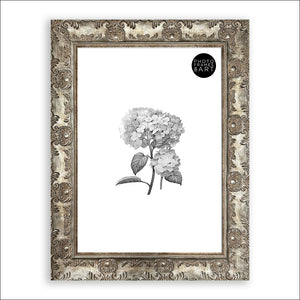 A3 Frame With Glass | Antique No Mount