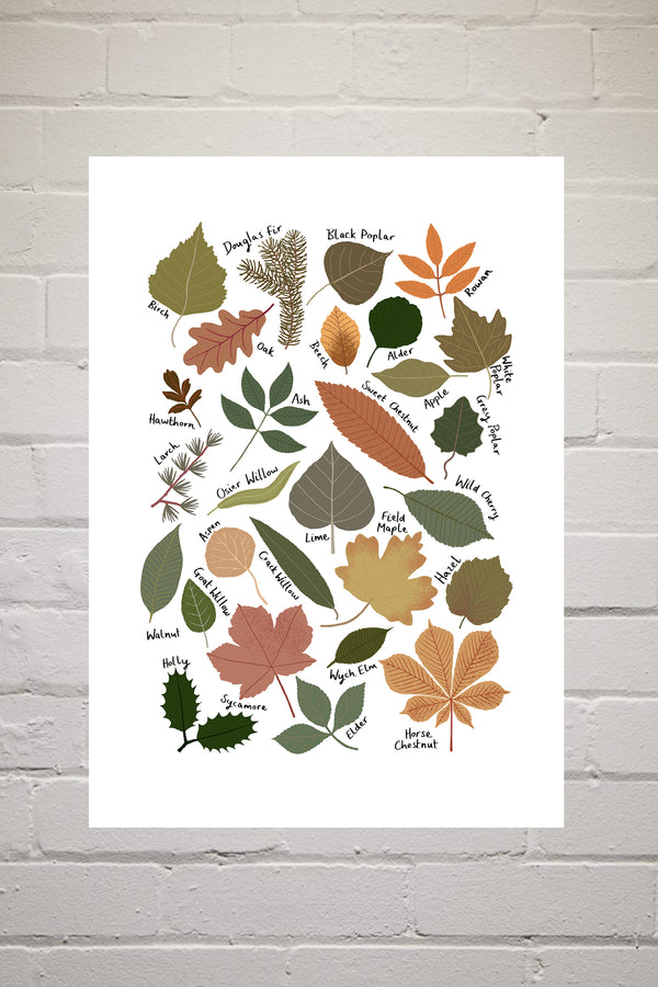 Leaf Chart by Kid of the Village