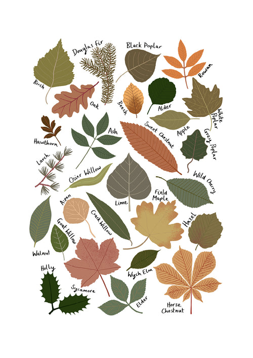 Leaf Chart by Kid of the Village