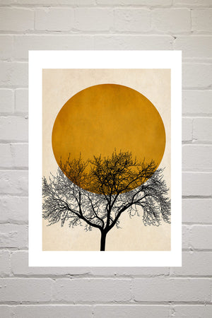 Winter Morning by Kubistika