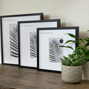 All Sizes of Oversized Mount Wooden 12x12 Black Frame for 7x5 with a Photo of a Plant and PF&A Logo